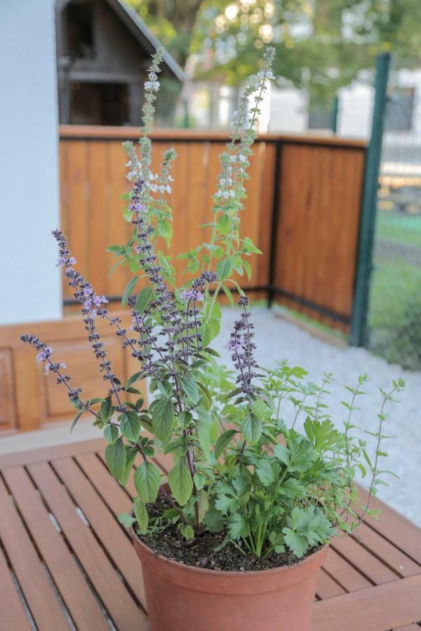 Apartments Pikon 보히니 외부 사진